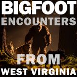 BIGFOOT ENCOUNTER IN WEST VIRGINIA | IT A DARK BLACK FIGURE JUMPED DOWN FROM THE TREE!