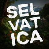 Selvatica - Sopra le nuvole