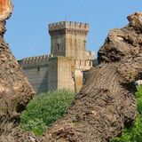 Tra le ombre di Offagna: Misteri e presenze nel Castello Antico