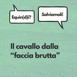 30_il cavallo dalla faccia brutta