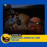 Epiosde 283: Minecraft, Being Fat, and the Cat