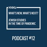 #12 Professor Havi Dreifuss - The future of digital research and Jewish studies in light of these uncertain times