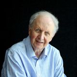 Big Adventures — Alexander McCall Smith
