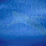 Ecología para todos: Un Belén con tiburones