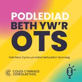 Croeso i Beth yw’r Ots