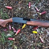 20ga for Survival - Hunting, Fighting & Defense