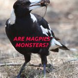 S04E39 - Are Magpies Monsters?