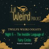 12 Weird Nights - Night 5 – The Invisible Language of Fairy Circles