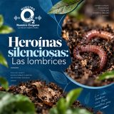 NUESTRO OXÍGENO Heroínas silenciosas, las lombrices