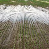 Misurare l’umidità del suolo globale è più difficile del previsto