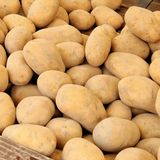 Batata: oferta reduzida, clima adverso e preços elevados no mercado | BBCast Agro - 02/06/2026