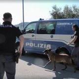 Traffico di droga e armi: anche il vicentino coinvolto in una maxi operazione della polizia