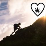 Cannabis e cancro: una battaglia di amore e speranza