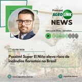 São Paulo pode registrar safra recorde de grãos no ciclo 25/26