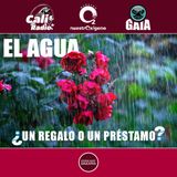 NUESTRO OXÍGENO El agua, ¿un regalo o un préstamo