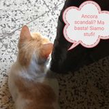 #vr Ed è scandalo (di nuovo)!