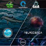 NUESTRO OXÍGENO Biodiversity Conservation-Erika López - Neurociencia proyecto de ley-Edgar Camacho