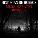 MEGA MARATON DE TERROR EN LOS BOSQUES / 3 HORAS DE RELATOS EN BOSQUES / L.C.E.