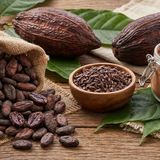 Cacao crudo: la bontà antistress che abbiamo dimenticato