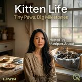 Kitten Life - The Sleepy, Sightless World of Brand-New Kittens