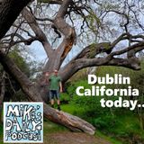 MikesDailyPodcast 3266 Greens