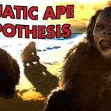 The Most Bizarre Idea in Human Evolution - The Aquatic Ape Hypothesis