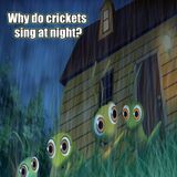Why Do Crickets Sing at Night?