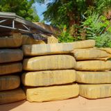 Le journal du 20 mai 2025 – Importante saisie de drogue à Gaya