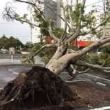 Cyclone Debbie Update 2 with Katrina Murray