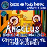 ángelus del día de hoy.  MARTES 3 DE SEPTIEMBRE 2024, 🌹Oración diaria del angelus a la Virgen María💙