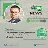 Conab projeta novo recorde na produção brasileira de café