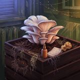 Grow Mushrooms Indoors: Martha Tent Contamination Fixes 2026