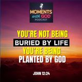 You’re Not Being Buried—You’re Being Planted by God