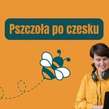 179: Pszczoła po czesku
