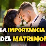 3-26_ESTA_ Es la GRAN Importancia del Matrimonio según la Biblia_ PADRE LUIS TORO