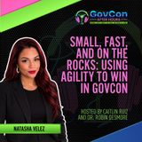 Small, Fast, and on the Rocks: Using Agility to Win in GovCon