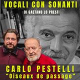 35) "Oiseaux de passage" di CARLO PESTELLI (2023)