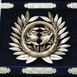 The 2026 U.S. Intervention in Venezuela and Maduro’s Capture