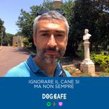 #098 - Ignorare il cane si, ma non sempre.