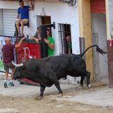 Programa 19.  27-08-25