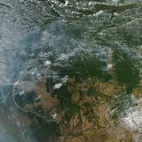 Proteggere le foreste pluviali riduce le malattie respiratorie
