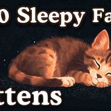 Fall Asleep to 100 Dreamy Facts About Kittens _ No Adverts