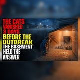 Every Cat Vanished 3 Days Before the Outbreak | Apocalyptic mysteries