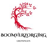 Boomverzorging in verschillende seizoenen