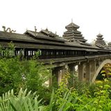 In Cina le foreste artificiali crescono più in fretta di quelle naturali