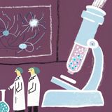 The Buried Alzheimer Cure: DMSO Exposes the Billion-Dollar Amyloid Fraud