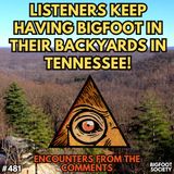 Bigfoot Encounter Tales from the Comments!