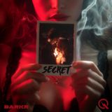 Secret - The Body's Burden -  How Secrets Reshape Us