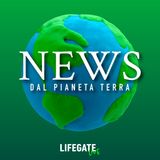 LIVE: Prima della Pioggia – La crisi climatica nella narrativa contemporanea