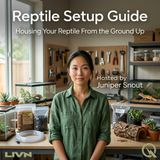 Reptile Setup Guide - Dialing In the Invisible Stuff: Lighting, Heat Gradients, and Humidity Control
